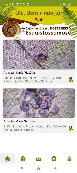 Play SchistoAqui  and enjoy SchistoAqui with UptoPlay