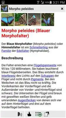 Play Schmetterlinghaus Wien (DE)