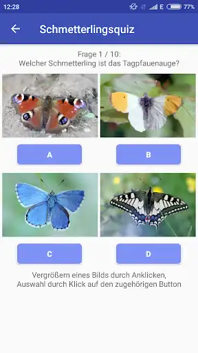 Play Schmetterlingsquiz (Schnupperversion) and enjoy Schmetterlingsquiz (Schnupperversion) with UptoPlay Play Schmetterlingsquiz (Schnupperversion) and enjoy Schmetterlingsquiz (Schnupperversion) with UptoPlay