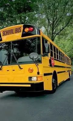 Play School Buses Jigsaw Puzzles