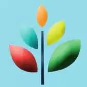 Free play online School Seed APK Free play online School Seed APK