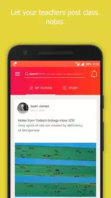 Play SchoolWEB