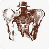 Free play online Sciatic nerve pain APK Free play online Sciatic nerve pain APK