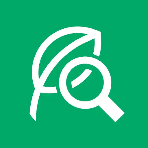 Play SCIBAI, Diag.  SNS for veggie APK