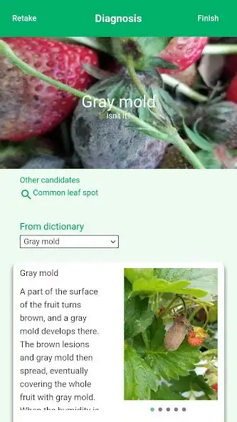 Play SCIBAI, Diag.  SNS for veggie  and enjoy SCIBAI, Diag.  SNS for veggie with UptoPlay