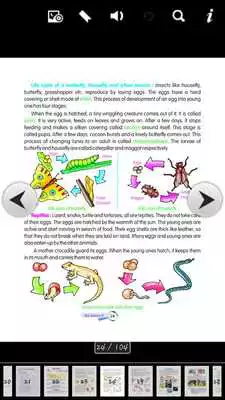 Play Science 4