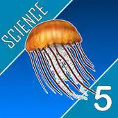 Free play online Science Quest Quiz Fifth Grade APK Free play online Science Quest Quiz Fifth Grade APK