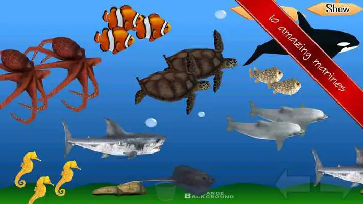 Play Science Quest Quiz Fifth Grade