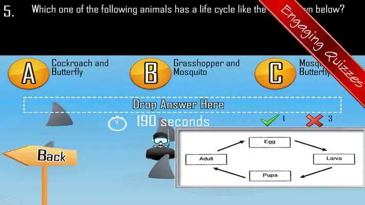 Play Science Quest Quiz Fifth Grade