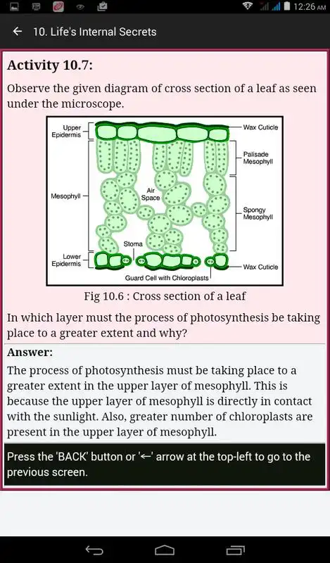 Play Science Revision 10