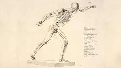 Play Science Wallpapers as an online game Science Wallpapers with UptoPlay