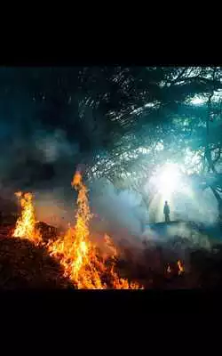 Play Sci Fi Fire Live Wallpaper