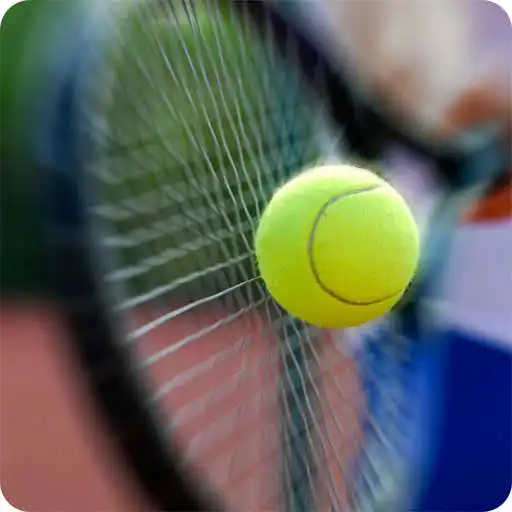 Play SC Melle 03 e.V. - Tennisclub APK Play SC Melle 03 e.V. - Tennisclub APK
