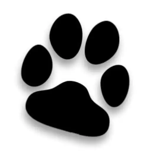 Play Scopri il mondo con Kuma APK Play Scopri il mondo con Kuma APK