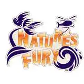 Free play online Score13 for FLL APK