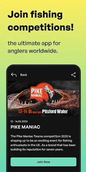 Play Scores Jungle  and enjoy Scores Jungle with UptoPlay
