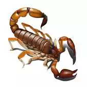 Free play online Scorpio APK Free play online Scorpio APK