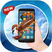 Free play online Scorpion In Screen Phone Prank APK