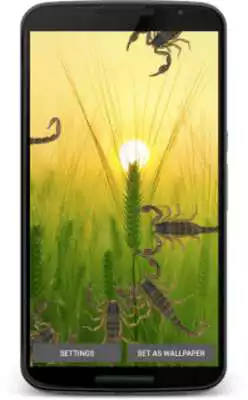 Play Scorpion Live Wallpaper
