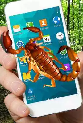 Play Scorpion run on screen Joke