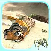 Free play online Scorpion Simulator APK