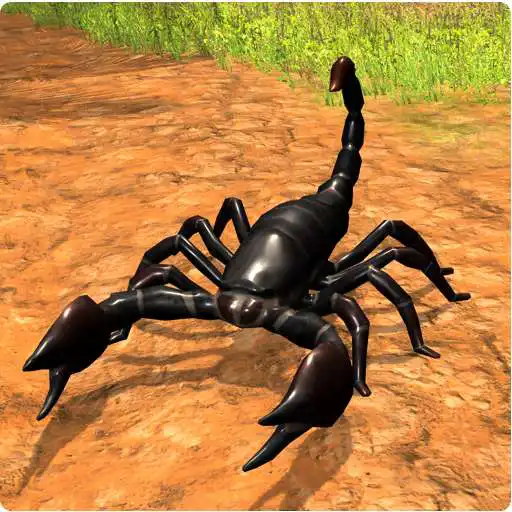 Play Scorpion Simulator Jungle Survival 2019 APK