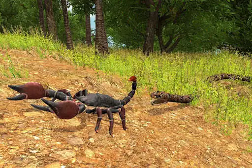 Play Scorpion Simulator Jungle Survival 2019 as an online game online Scorpion Simulator Jungle Survival 2019 with UptoPlay com.galaxynationgames.scorpion.sim.faimly Play Scorpion Simulator Jungle Survival 2019 as an online game Scorpion Simulator Jungle Survival 2019 with UptoPlay