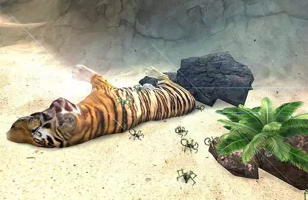 Play Scorpion Simulator Play Scorpion Simulator