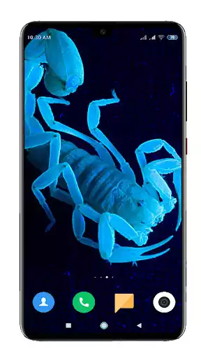 Play Scorpion Wallpaper