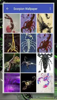 Play Scorpion Wallpaper