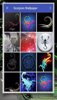 Play Scorpion Wallpaper