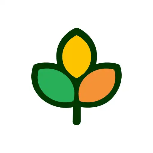 Play Scouting APK Play Scouting APK
