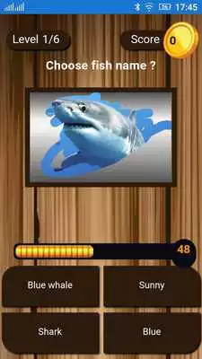 Play Scratch game for Kids