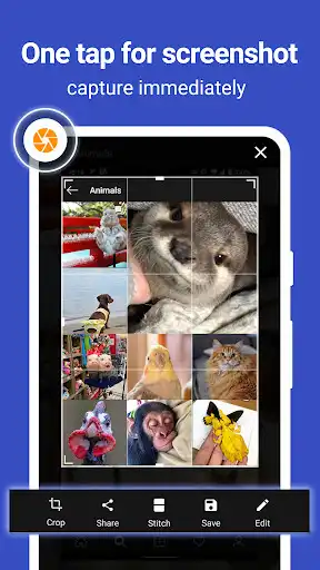 Play Screen Master Pro as an online game Screen Master Pro with UptoPlay