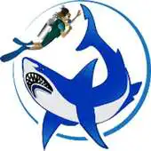 Free play online Scuba Divers Dream APK