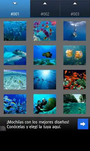 Play Scuba Diving Wallpapers as an online game Scuba Diving Wallpapers with UptoPlay
