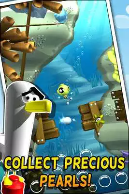 Play Scuba Dupa