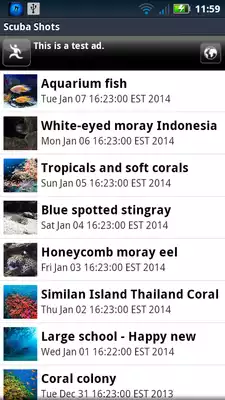 Play Scuba Shots Live Wallpaper