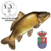 Free play online SDAD. PESCADORES AMALIENSES APK