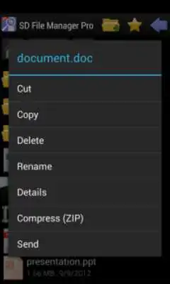 Play SD File Manager Pro