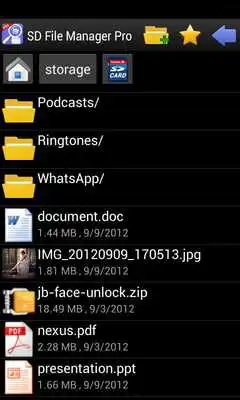 Play SD File Manager Pro