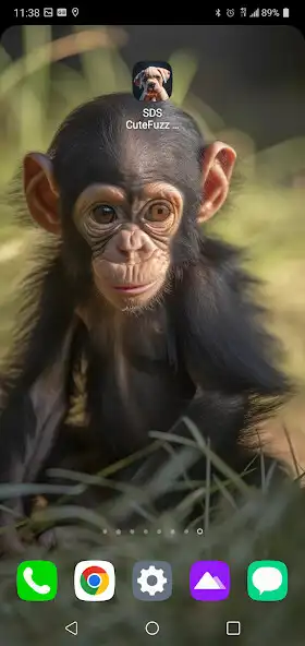 Play SDS Cute Fuzz Wallpapers as an online game SDS Cute Fuzz Wallpapers with UptoPlay