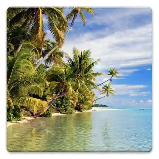 Play Sea and Tropics Wallpapers! APK