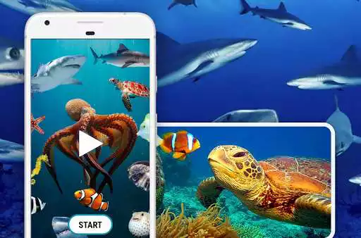 Play Sea Animals Documentary  and enjoy Sea Animals Documentary with UptoPlay