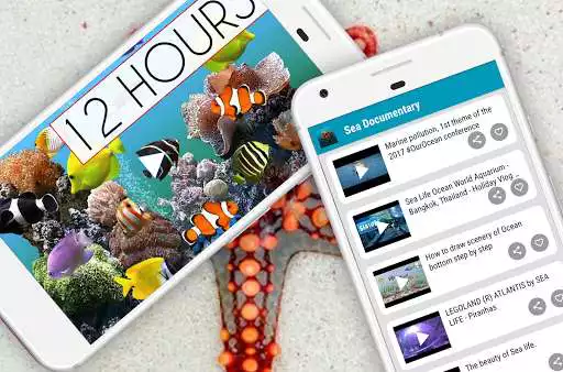 Play Sea Animals Documentary as an online game Sea Animals Documentary with UptoPlay