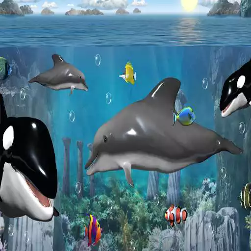 Play Sea Animals Memory Learning Games