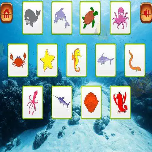 Play Sea Animals Memory Learning Games