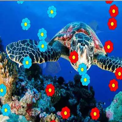 Play Sea Animals Memory Learning Games