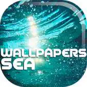 Free play online sea beach hd wallpapers APK