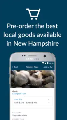 Play Seacoast Eat Local
